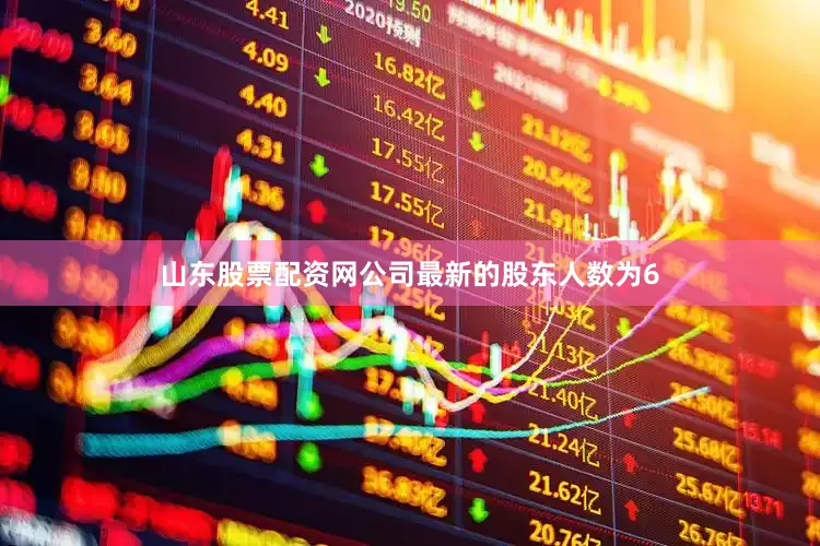 山东股票配资网公司最新的股东人数为6