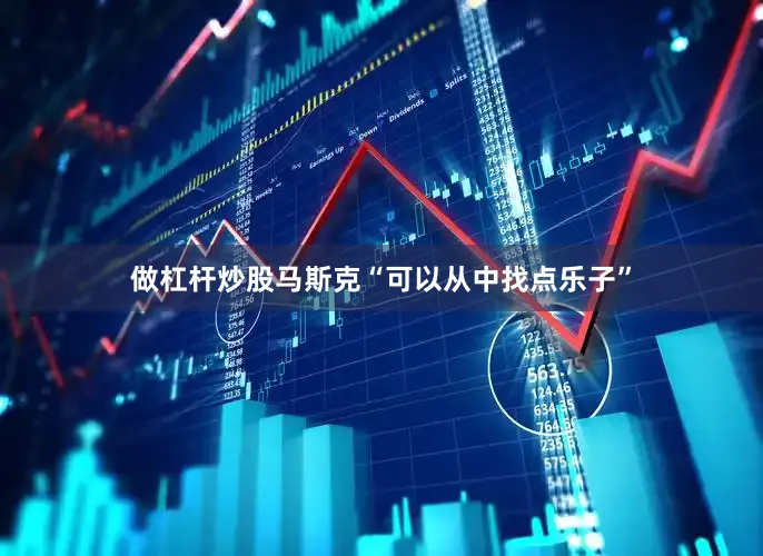 做杠杆炒股马斯克“可以从中找点乐子”