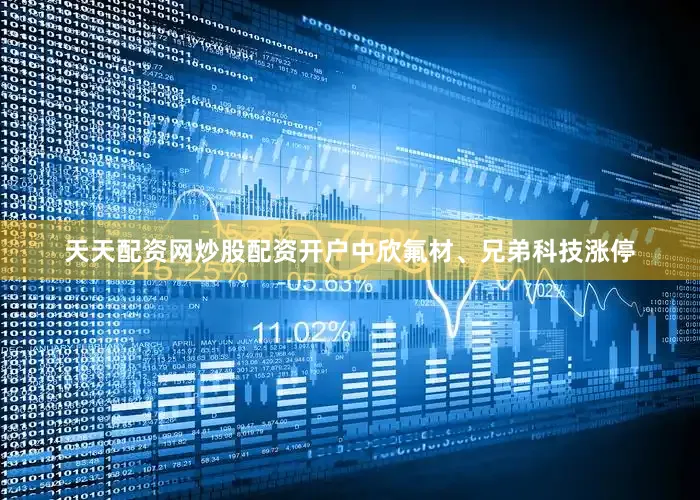 天天配资网炒股配资开户中欣氟材、兄弟科技涨停