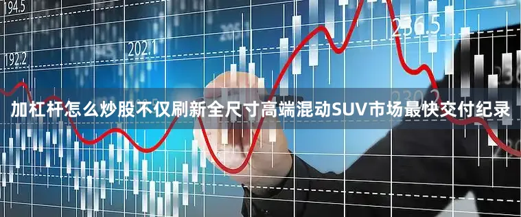 加杠杆怎么炒股不仅刷新全尺寸高端混动SUV市场最快交付纪录