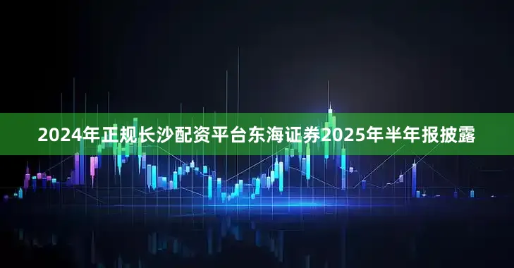 2024年正规长沙配资平台东海证券2025年半年报披露