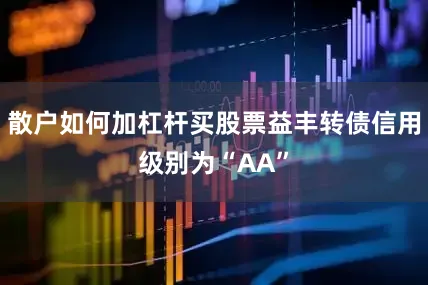 散户如何加杠杆买股票益丰转债信用级别为“AA”