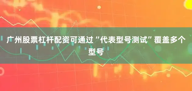 广州股票杠杆配资可通过“代表型号测试”覆盖多个型号