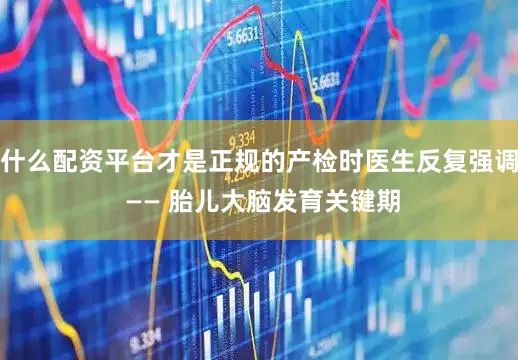什么配资平台才是正规的产检时医生反复强调 —— 胎儿大脑发育关键期